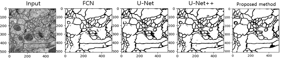 Fig. 12.