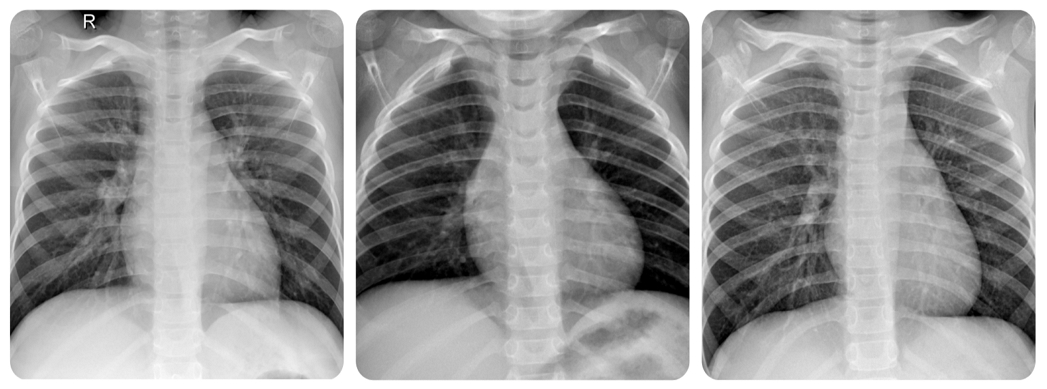 Fig. 7. Fig. 7.