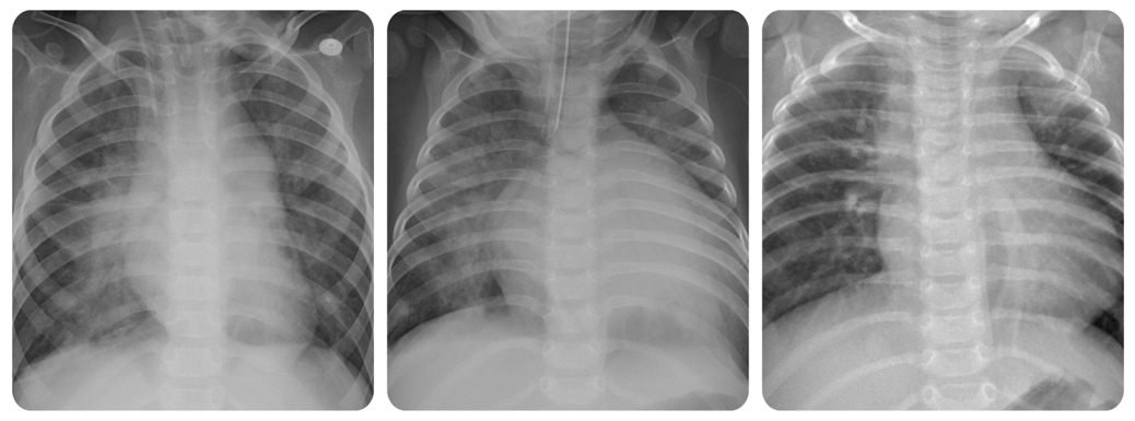 Fig. 8. Fig. 8.