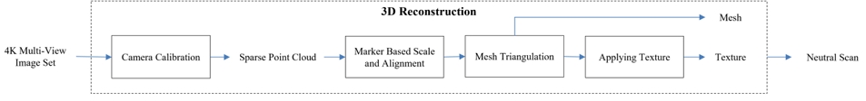 Fig. 3. Fig. 3.