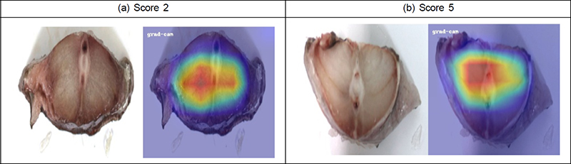 Fig. 15.