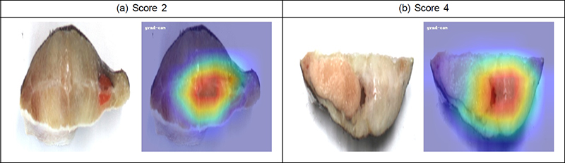 Fig. 16.