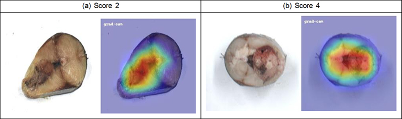 Fig. 17.
