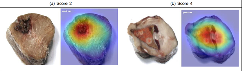 Fig. 18.
