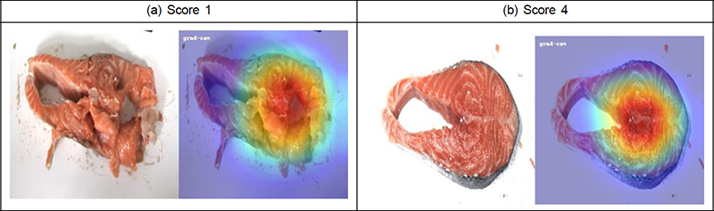 Fig. 19.